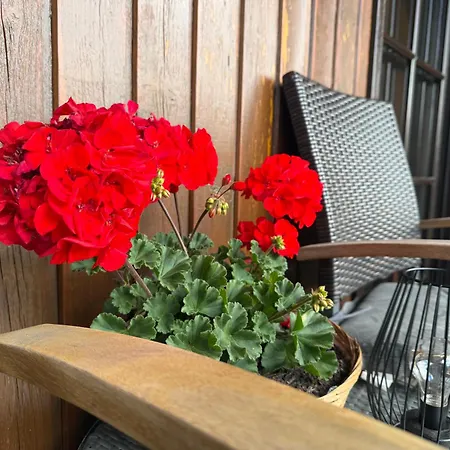 Mit Grossem Balkon Und Blick In Den Taunus Daire Oberems