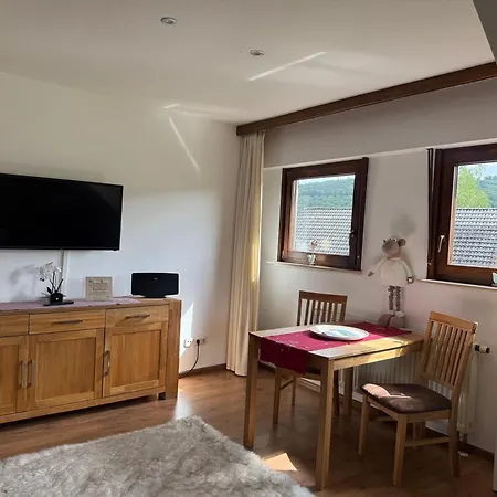 Mit Grossem Balkon Und Blick In Den Taunus Oberems